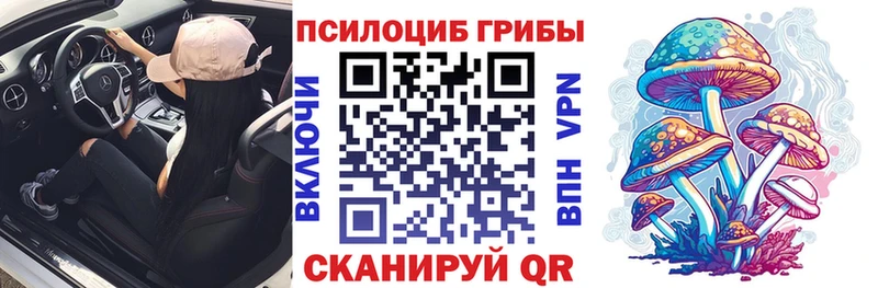 Галлюциногенные грибы Psilocybe  где можно купить   Бузулук 